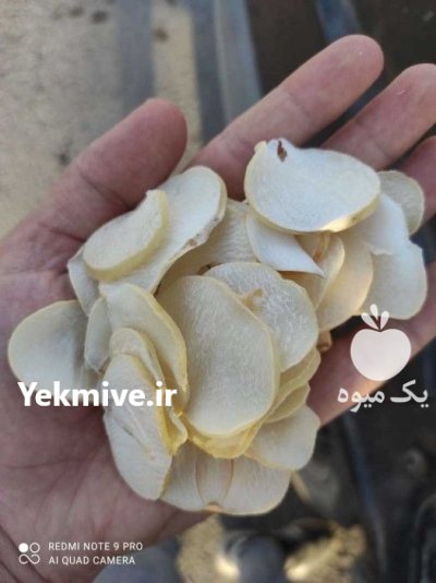 سیر خشک موسیر خشک در تیران در گروه خرید و فروش سیر در یکمیوه -عکس1