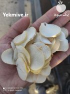 سیر خشک موسیر خشک در تیران در گروه خرید و فروش سیر در یکمیوه