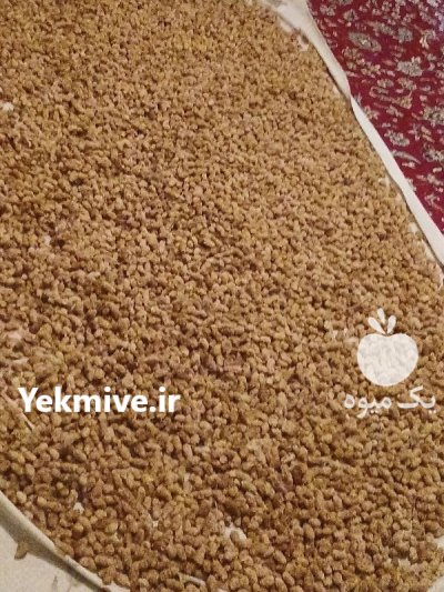 توت سفید در کاشان در گروه خرید و فروش توت در یکمیوه -عکس1