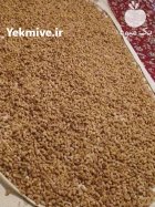 توت سفید در کاشان در گروه خرید و فروش توت در یکمیوه