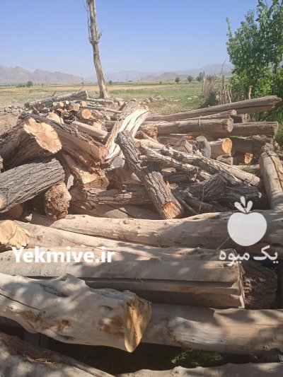 چوب ضایعات مخلوط بید سقفی در بوئین و میاندشت در گروه خرید و فروش انواع چوب در یکمیوه -عکس1