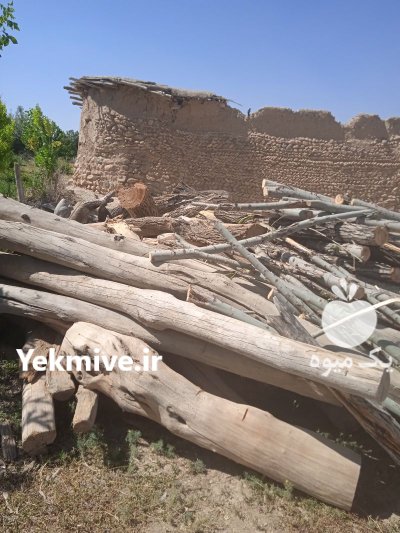 چوب ضایعات مخلوط بید سقفی در بوئین و میاندشت در گروه خرید و فروش انواع چوب در یکمیوه -عکس2