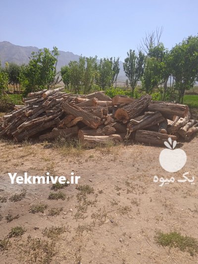 چوب ضایعات مخلوط بید سقفی در بوئین و میاندشت در گروه خرید و فروش انواع چوب در یکمیوه -عکس3
