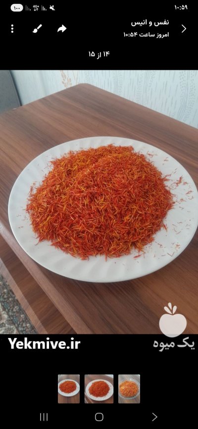 گلرنگ در شیراز در گروه خرید و فروش گیاهان صنعتی در یکمیوه -عکس2