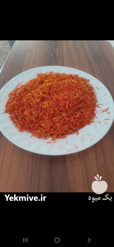 گلرنگ در شیراز در گروه خرید و فروش گیاهان صنعتی در یکمیوه -عکس3