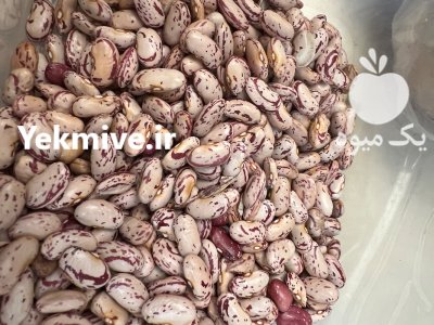 فروش لوبیا چیتی امسال سالم در ساری در گروه خرید و فروش غلات و حبوبات در یکمیوه -عکس1