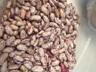 فروش لوبیا چیتی امسال سالم در ساری در گروه خرید و فروش غلات و حبوبات در یکمیوه