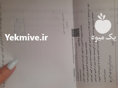 تخم کبک در کرج در گروه انواع تخم ها در یکمیوه -عکس1