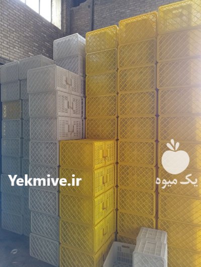سبد کشمشی در پاکدشت در گروه خرید و فروش انواع سبد در یکمیوه -عکس3