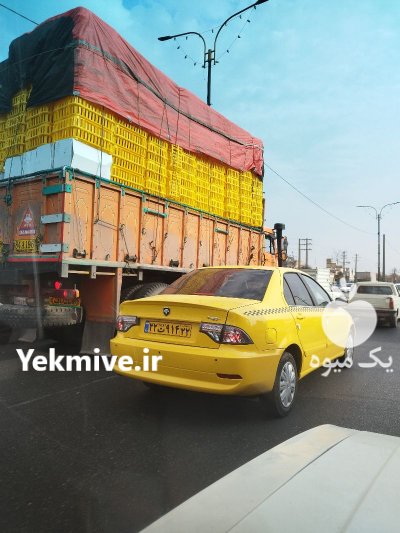قفس حمل مرغ ایرانی در تهران در گروه تجهیزات مرغداری در یکمیوه -عکس2