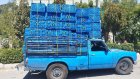 سبد کشمشی در پاکدشت در گروه خرید و فروش انواع سبد در یکمیوه