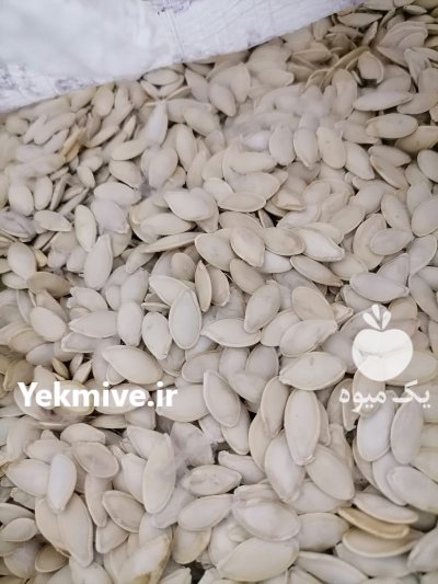 تخمه کدو بوجار شده در دلند در گروه خرید و فروش انواع تخمه در یکمیوه -عکس1