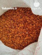 انواع مغز بادام درختی در سامان در گروه خرید و فروش بادام در یکمیوه