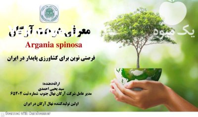 نهال آرگان اصل با ضمانت در شیراز در گروه خرید و فروش نهال در یکمیوه -عکس1