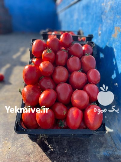 بار فروشی میدان تره بار در چهارمحال و بختیاری در گروه بارفروشی محصولات کشاورزی در یکمیوه -عکس2