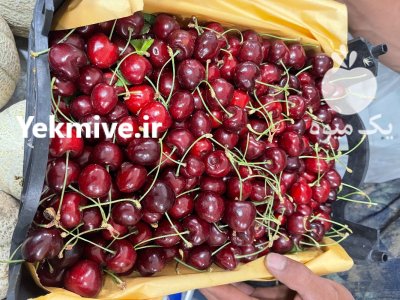 بار فروشی میدان تره بار در چهارمحال و بختیاری در گروه بارفروشی محصولات کشاورزی در یکمیوه -عکس3