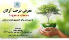 نهال آرگان اصل با ضمانت در شیراز در گروه خرید و فروش نهال در یکمیوه