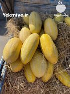 بار فروشی میدان تره بار در چهارمحال و بختیاری در گروه بارفروشی محصولات کشاورزی در یکمیوه