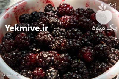 فروش شاتوت در قزوین در گروه خرید و فروش توت در یکمیوه -عکس1