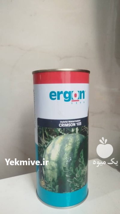 بذر هندوانه ارگون 103 گرد در شیراز در گروه خرید و فروش بذر هندوانه در یکمیوه -عکس1