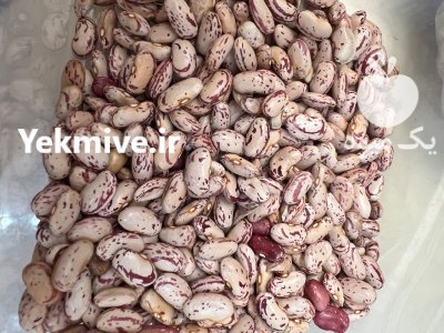 فروش لوبیا چیتی سالم و تازه در ساری در گروه خرید و فروش غلات و حبوبات در یکمیوه -عکس1