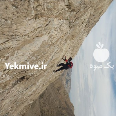فروش کود خفاش در فاریاب در گروه خرید و فروش کود خفاش در یکمیوه -عکس1