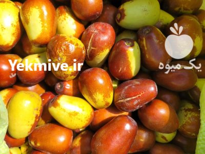 عناب تازه در قائن در گروه خرید و فروش گیاهان دارویی در یکمیوه -عکس3