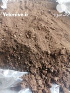 ضایعات قهوه در کرمان  در گروه خوراک دام و طیور در یکمیوه