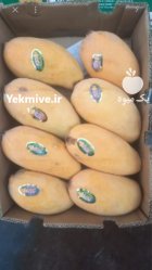 انبه پاکستانی و محلی درجه 1 در زاینده رود در گروه خرید و فروش انبه در یکمیوه