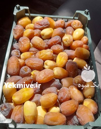 رطب تازه و درجه یک در بوشهر در گروه خرید و فروش خرما در یکمیوه -عکس1