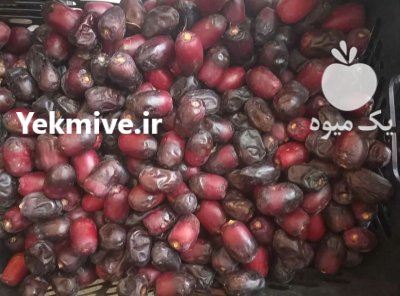 خرمای تازه تازه درجه یک در شیراز در گروه خرید و فروش خرما در یکمیوه -عکس1