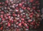 خرمای تازه تازه درجه یک در شیراز در گروه خرید و فروش خرما در یکمیوه