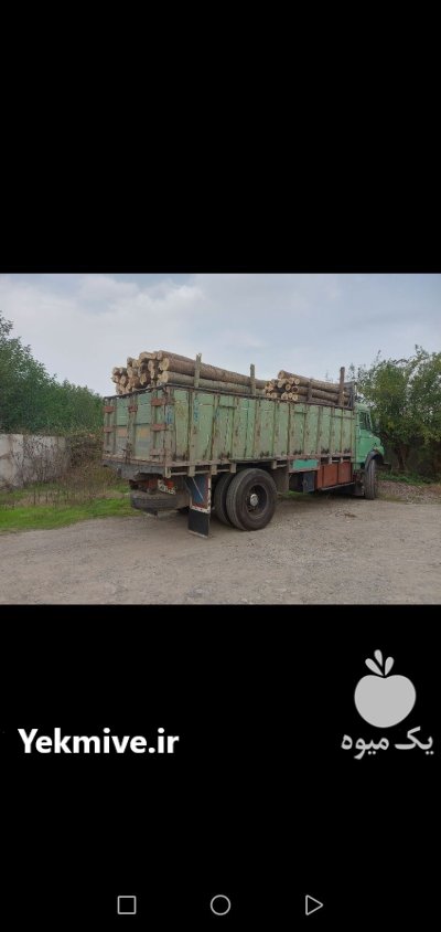 خریدار چوب و درخت صنوبر در کرمان در گروه خرید و فروش انواع چوب در یکمیوه -عکس1