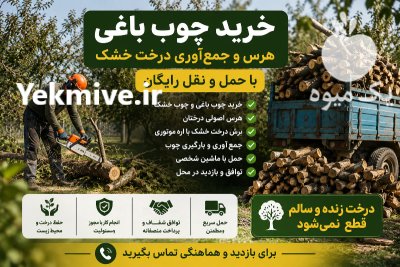 خرید چوب باغی خدمات تخصصی هرس در طرقبه در گروه خرید و فروش انواع چوب در یکمیوه -عکس1