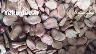 فروش ویژه باقلا رقم برکت سوری در ساری در گروه خرید و فروش غلات و حبوبات در یکمیوه -عکس1
