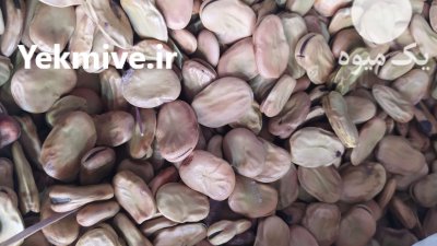 فروش ویژه باقلا رقم برکت سوری در ساری در گروه خرید و فروش غلات و حبوبات در یکمیوه -عکس2
