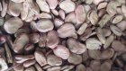 فروش ویژه باقلا رقم برکت سوری در ساری در گروه خرید و فروش غلات و حبوبات در یکمیوه