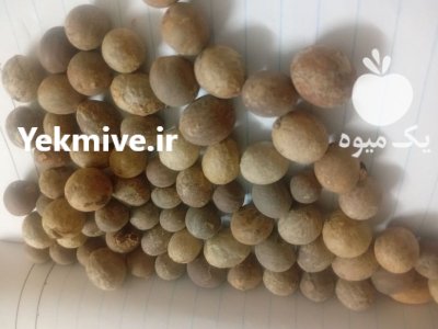 هسته خرمای وحشی در ایرانشهر در گروه خرید و فروش خرما در یکمیوه -عکس1