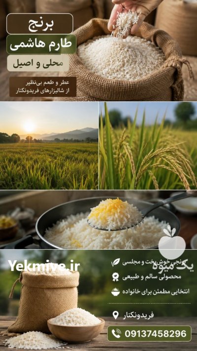 برنج طارم هاشمی فریدونکنار در سیرجان در گروه خرید و فروش برنج در یکمیوه -عکس1