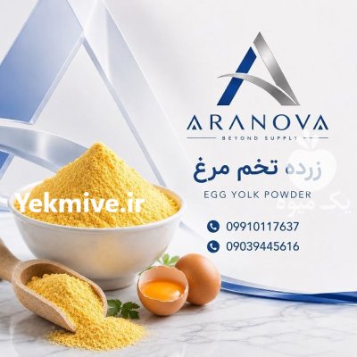 فروش پودر زرده تخم مرغ آرانوا در تهران در گروه انواع تخم ها در یکمیوه -عکس2