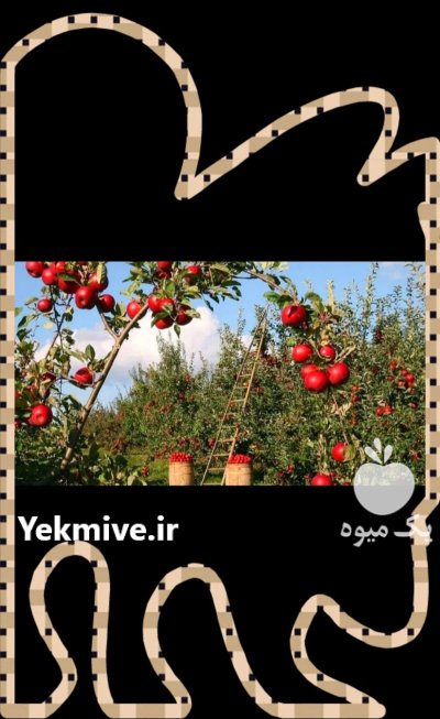 آموزش کشاورزی و دامداری با مدرک حرفه ای در تهران در گروه دوره آموزش کشاورزی در یکمیوه -عکس1