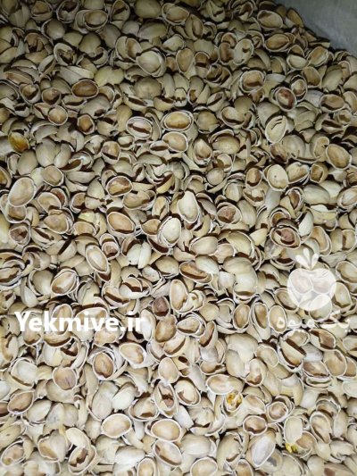پوست پسته پوست پسته در کرمان در گروه خرید و فروش پسته در یکمیوه -عکس1