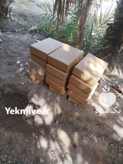 خرمای مضافتی درجه یک دو ضایعات در مشهد در گروه خرید و فروش خرما در یکمیوه -عکس3