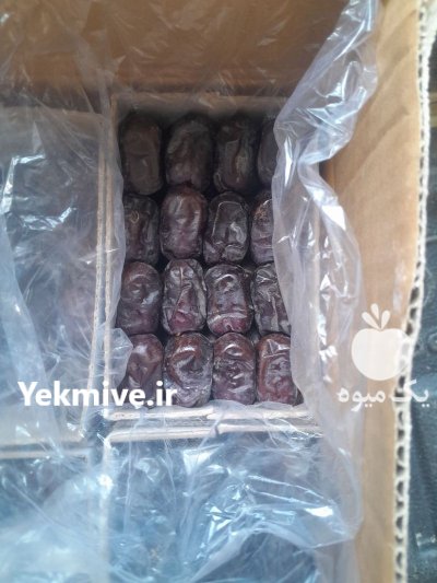خرمای مضافتی درجه یک دو ضایعات در مشهد در گروه خرید و فروش خرما در یکمیوه -عکس4
