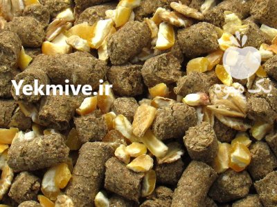کنسانتره ممتاز دامی در کرج در گروه خوراک دام و طیور در یکمیوه -عکس2