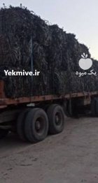 خرید ضایعات نوارتیپ قطری در مشهد در گروه خرید و فروش نوار تیپ در یکمیوه