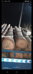 فروش چوب های ضایعات در مشهد در گروه خرید و فروش انواع چوب در یکمیوه