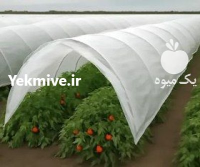 کاور ضد سرمازدگی کشاورزی در آباده در گروه خرید و فروش توری گلخانه در یکمیوه -عکس2