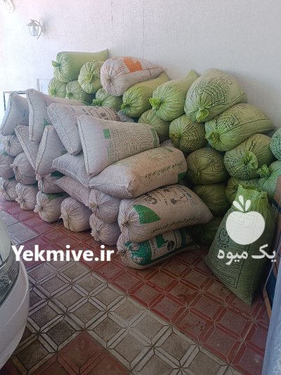 تخمه هندوانه ژاپنی درجه یک در مشهد در گروه خرید و فروش انواع تخمه در یکمیوه -عکس2