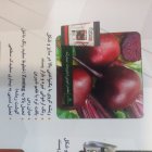 بذر فروش بذر لبو در اصفهان در گروه خرید و فروش انواع بذر در یکمیوه